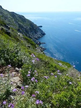 200m Plages * Six-Fours-les-Plages